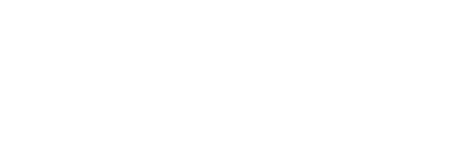 Logo Belamionix